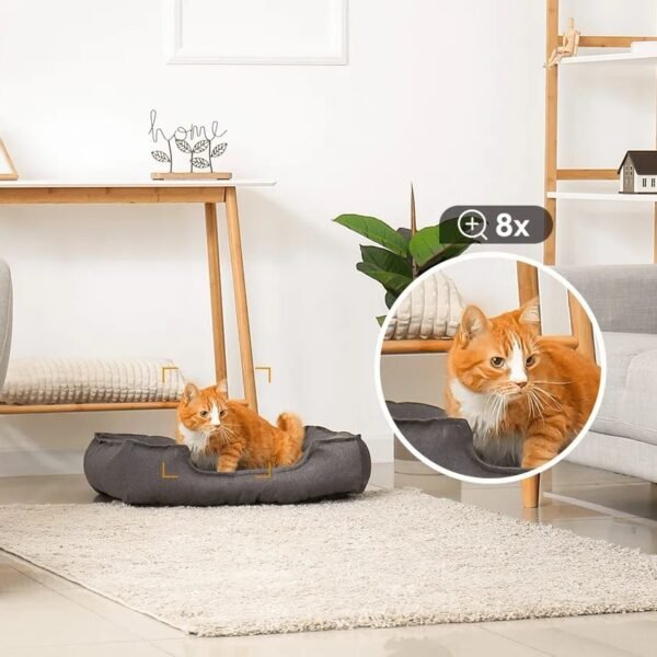Telecamera da interno Imou Rex 3D 3K 5MP IP/Wi-Fi - immagine 3